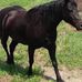 Ronald Gingras - Facebook
