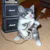 Ronald Glover - @ronaldglover_9399 - TikTok
