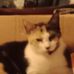 Ronald Glover - Facebook