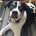 Ronald Gooch - Facebook