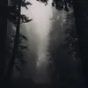 ronald - @ronaldgoocherson4kt - TikTok