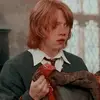Ronald Weasley 🍗 - @ronald.granger - TikTok