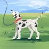Donald Graybill - @donald.graybill7 - TikTok