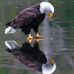 Ron Grider - Facebook