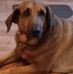 Ron Hambrick - Facebook