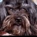 Ronald Hamby - Facebook