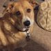 Ronald Hammond - Facebook