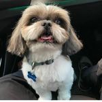 dr wolfgang berhab - @drboronaldhanken - Instagram