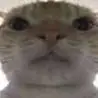 ronald harley - @mrfunnyguy12345 - TikTok