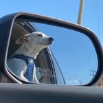 Ronald Harter-Ray - @ronaldharterray - Instagram