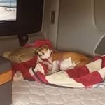 Ronald Hatter - @ronald.hatter - Instagram