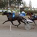 Ronald Haug - Facebook