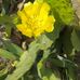 Henninger Ronald - Facebook