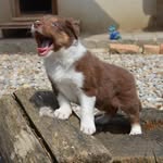 Ronald Hofer - @nero_692003 - Instagram