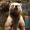ronaldhollingswor - @ronaldhollingswor - TikTok