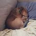 Ronald Hook - Facebook