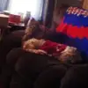 ronaldhooker797 - @ronaldhooker797 - TikTok