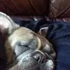 Ronald Copping - @ronaldcopping - TikTok