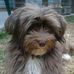 Ronald Houseman - Facebook