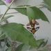 Ronald Hubbell - Facebook