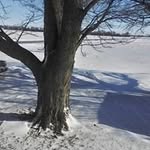 Ronald Huffaker - @huffaker1946 - Instagram