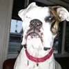 ronaldingram12 - @ronaldingram12 - TikTok