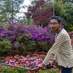 Ronald Jacob - @ronald_jacob_e - Instagram