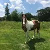 Ronald Jacob - @ronald.jacob73 - TikTok