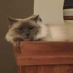 Ronald Janssen - @frommes65 - Instagram
