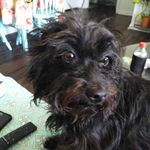 Ronald Jeter - @ronald.jeter.754 - Instagram