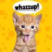 Ronald Joyal - Facebook