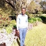 @ronaldkadar - Instagram