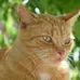 Ronald Kapp - Facebook