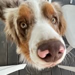 @_ronald_karp - Instagram
