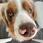@_ronald_karp_ - Instagram