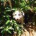 Ronald Kercher - Facebook