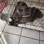 Ronald Keys - Facebook