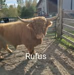 Ronald Kind - Facebook