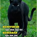 Ronald Kindangen - @ronald.kindangen.3 - Instagram