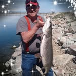 Ronald Koehler - @ronald.koehler.31 - Instagram
