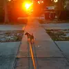 ronaldbeadenkopf - @ronaldbeadenkopf - TikTok