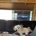 Ronald Ladner - Facebook