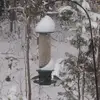 ronaldlamparter81 - @ronaldlamparter81 - TikTok