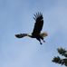 Ronald Lantz - Facebook
