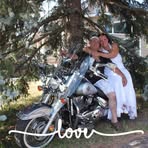 Ronald Latulippe - Facebook