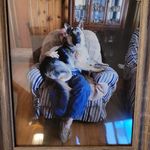 Ronald Lawson - @ronald.lawson.35380 - Instagram
