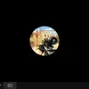 Rohan - @ronaldobleu - TikTok