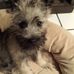 Ronald Lerner - Facebook