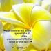 Ronald Ley - Facebook