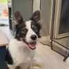 Ronan.Littlejohn Nico - @ronan.littlejohn - TikTok